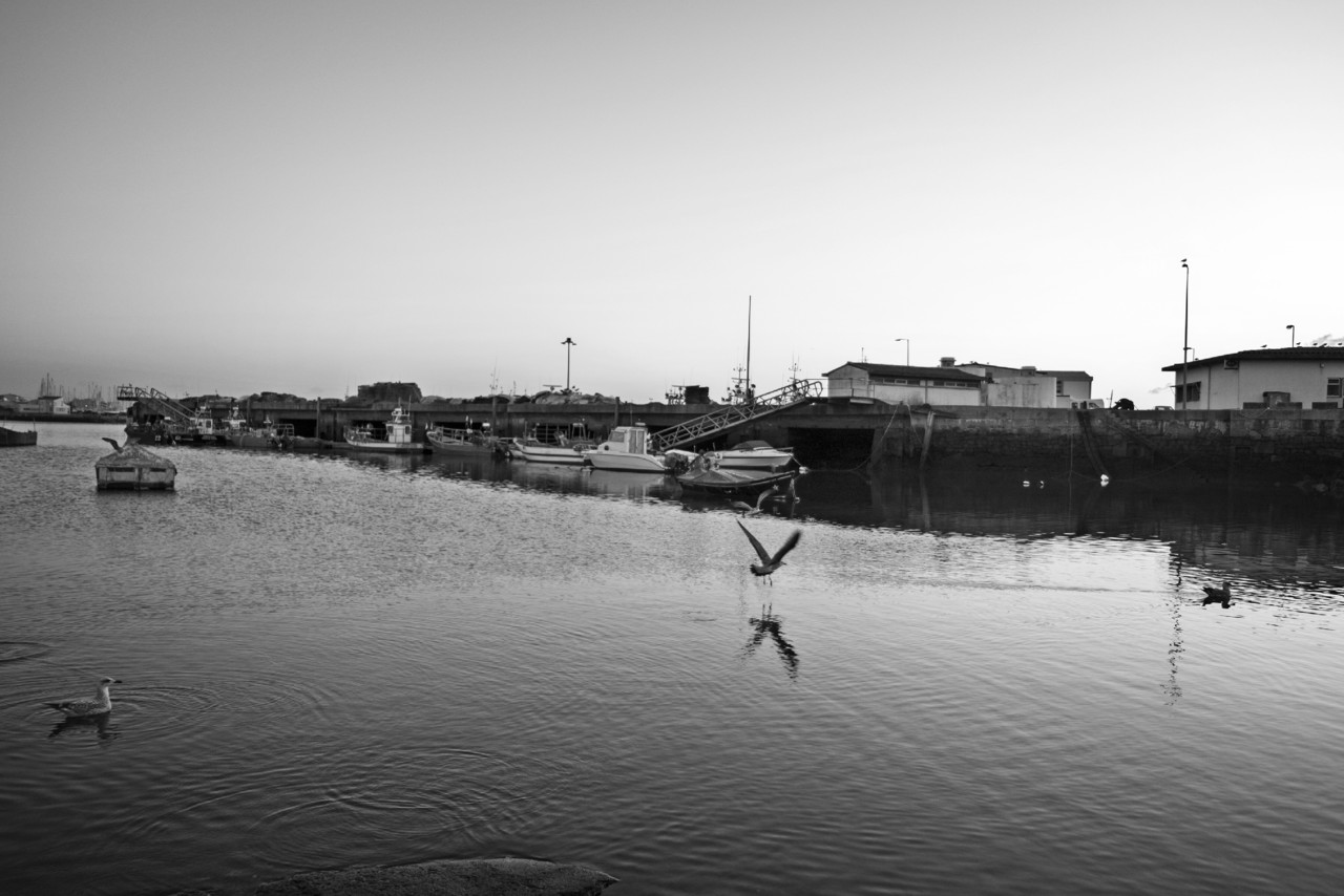 DSCF1472 - cópia copy.jpg