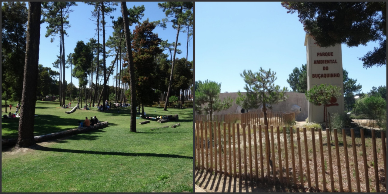 parquebucaquinho.jpg