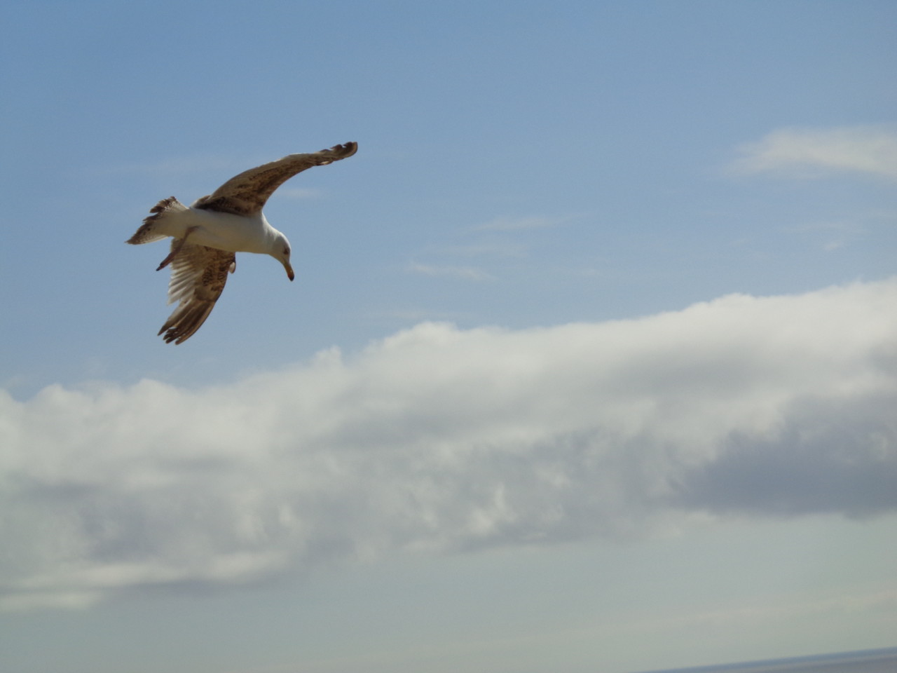 DSC00085.JPG DSC00085.JPG