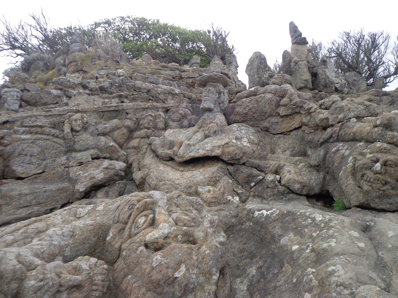 DSC09082.JPG DSC09082.JPG