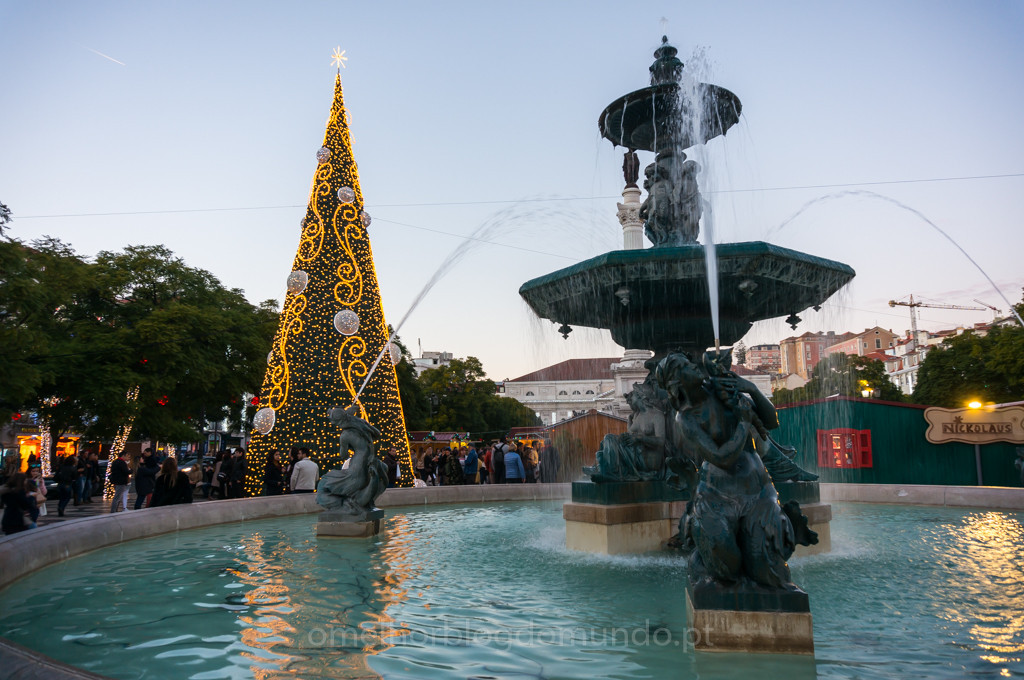 DSC04442.jpg DSC04442.jpg