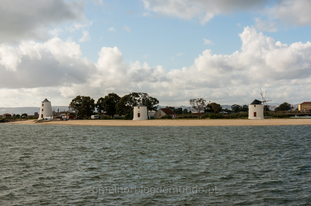 _DSC5582.jpg _DSC5582.jpg