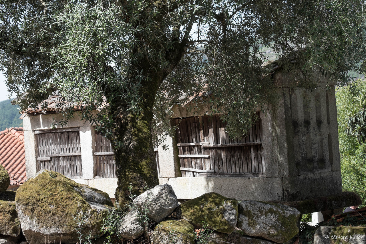 2017.- Montalegre (122).jpg