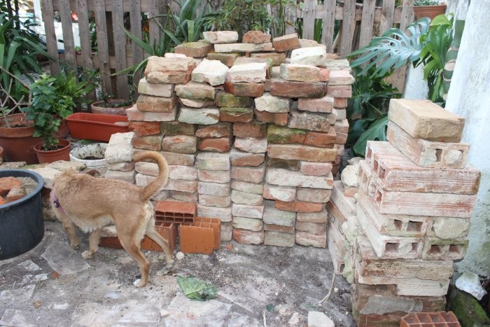 o-poder-do-pensamento.jpg o-poder-do-pensamento.jpg