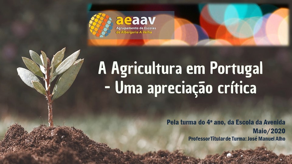 Agricultura_AV4.JPG