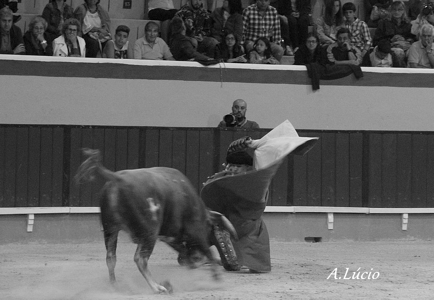 2 C Dominguez_0001.JPG