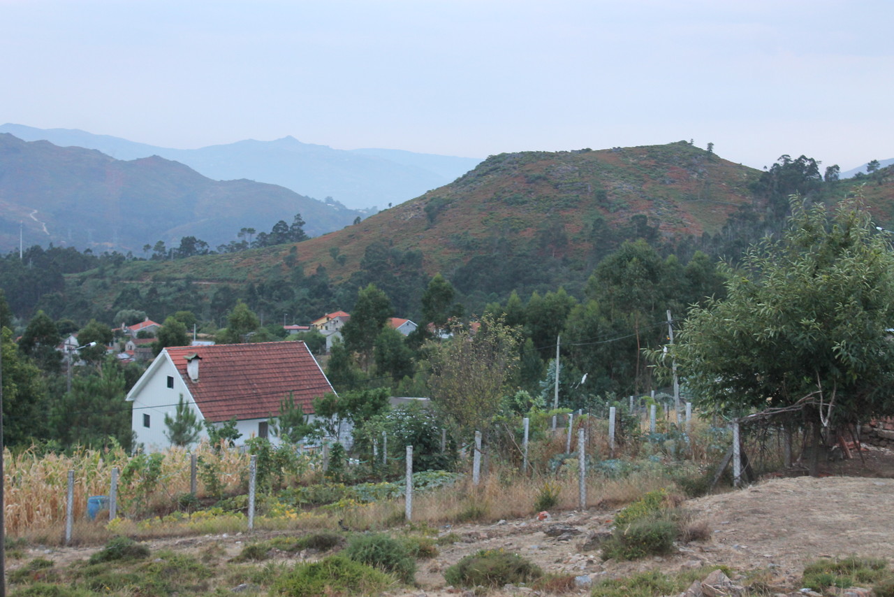 IMG_0859.JPG IMG_0859.JPG