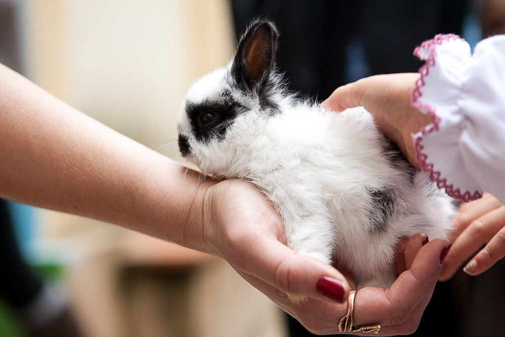 IMG_1525.jpg IMG_1525.jpg