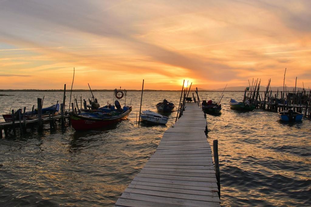 DSC_2978_01_00032.jpg DSC_2978_01_00032.jpg