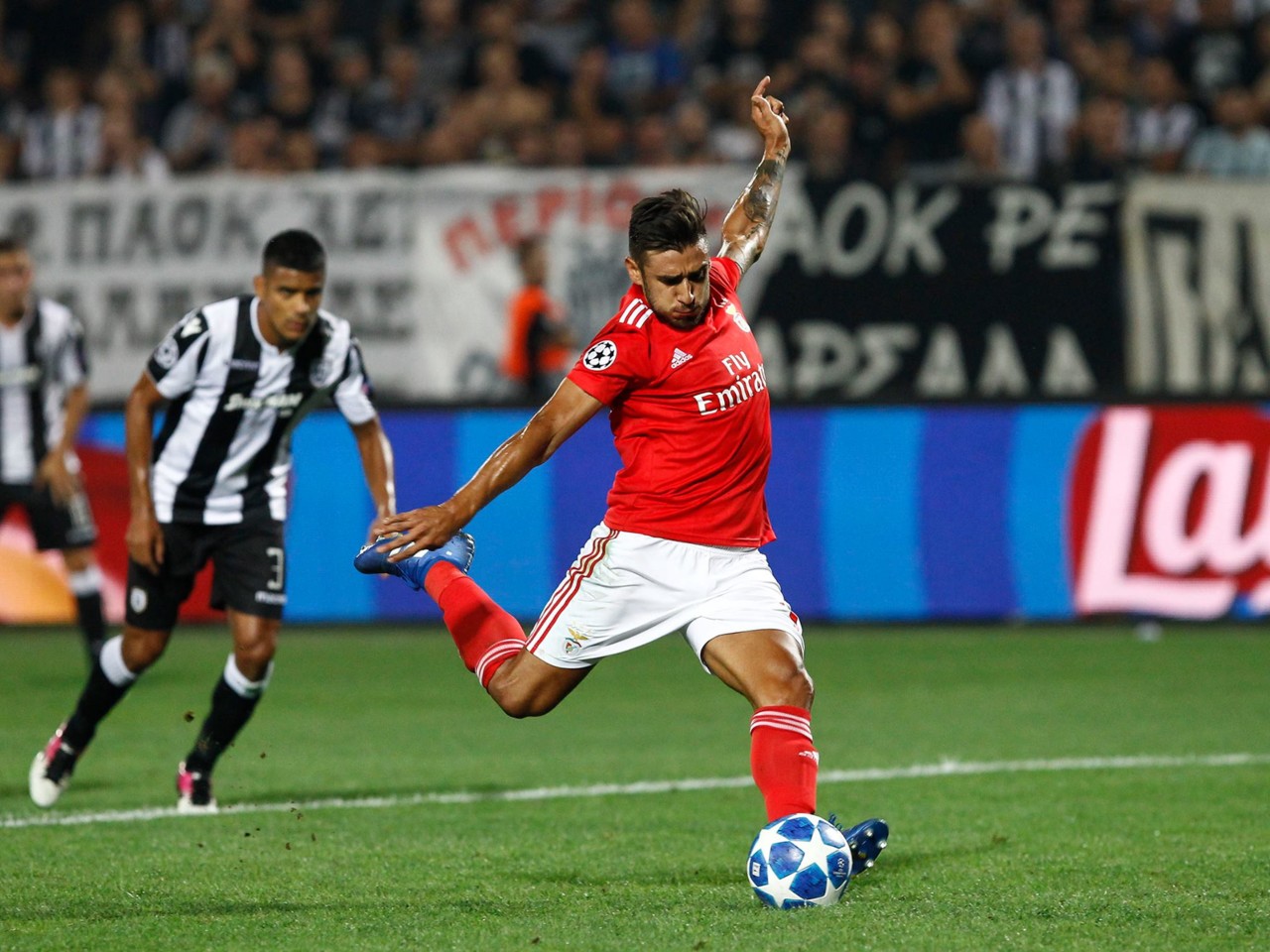 40314959_10160821935070716_875412453452677120_o.jp