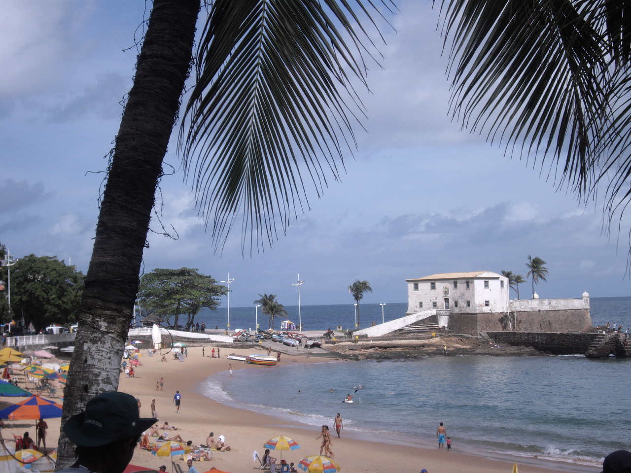 IMGP3335.JPG IMGP3335.JPG