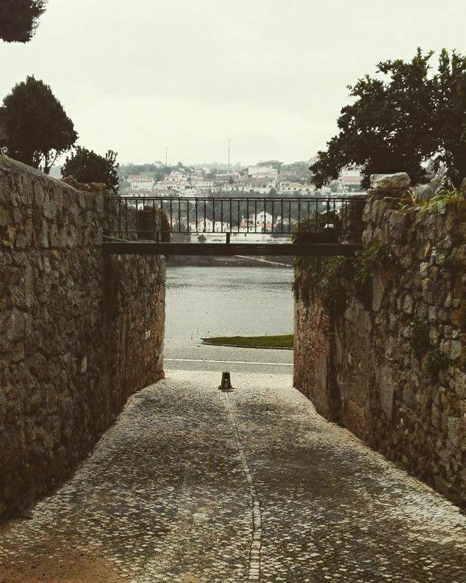 16681916_808927162593931_9111752376438355640_n.jpg 16681916_808927162593931_9111752376438355640_n.jpg