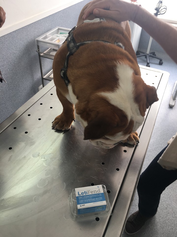 IMG_0745.JPG IMG_0745.JPG