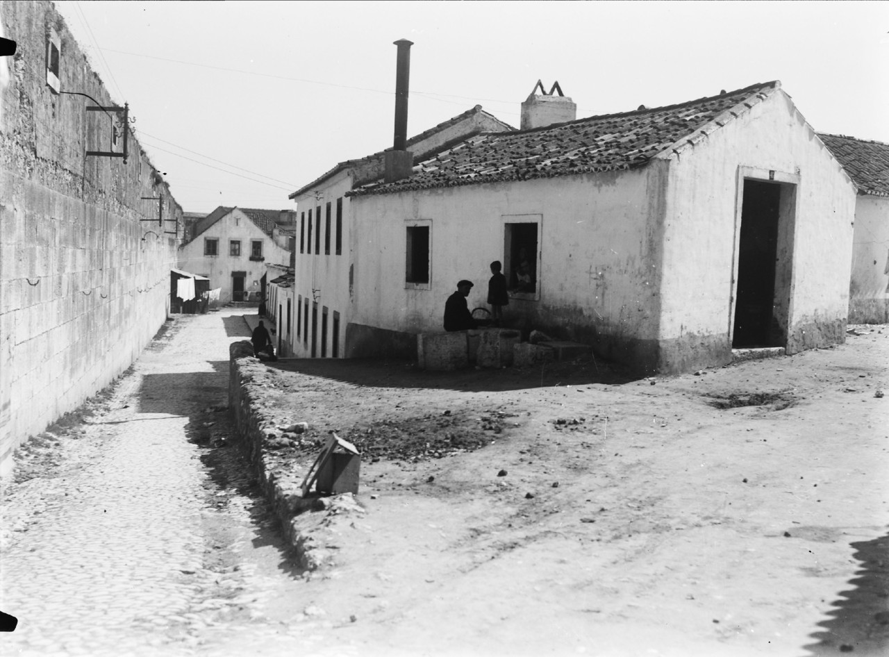 32144445321_2058310387_o.jpg 32144445321_2058310387_o.jpg