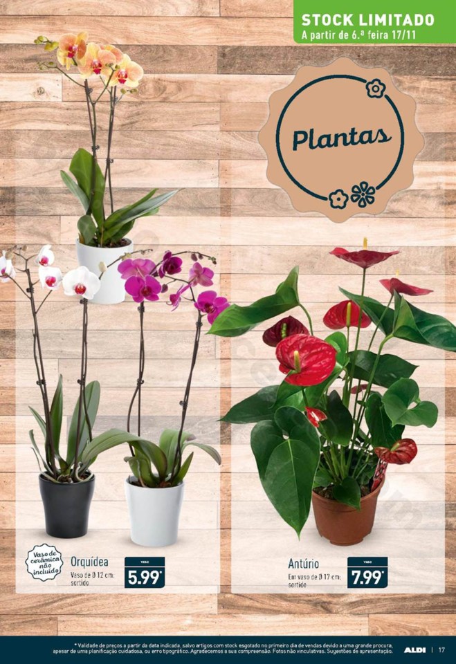 Antevisão folheto ALDI Promoções a partir de 15