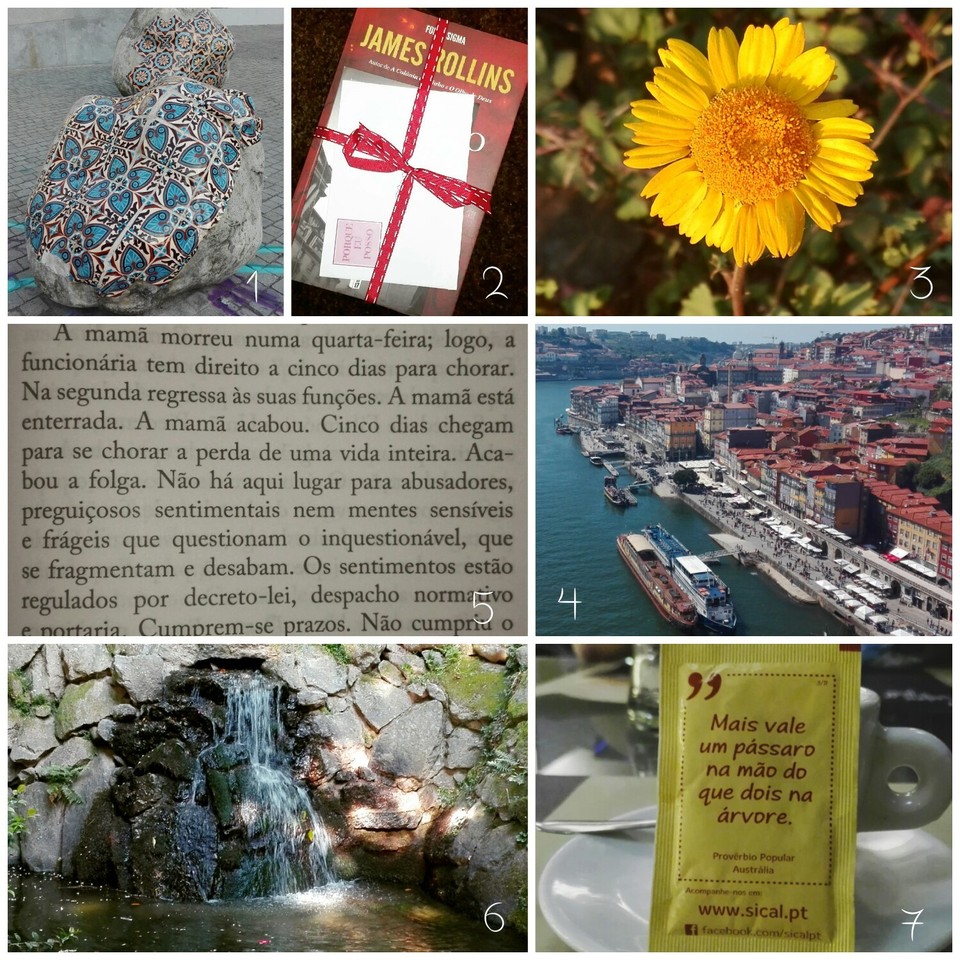 1492345057305.jpg 1492345057305.jpg