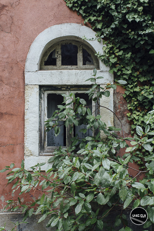 Tapada_da_Ajuda_Lisboa-001443.jpg Tapada_da_Ajuda_Lisboa-001443.jpg