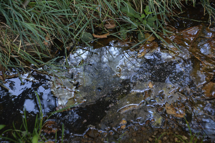 _D704702.JPG