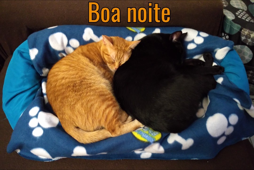 SquarePic_20201126_23113749.jpg SquarePic_20201126_23113749.jpg