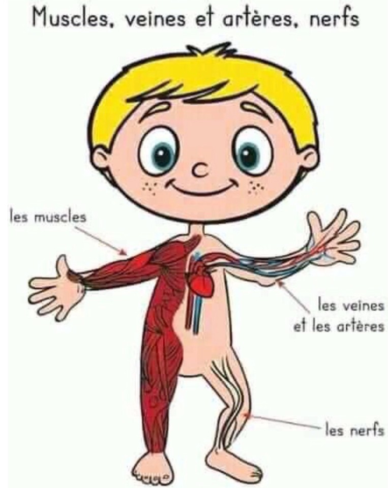 IMG_0769.JPG IMG_0769.JPG