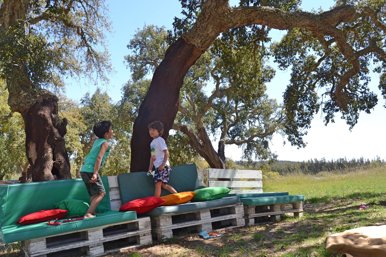 Zmar11.jpg Zmar11.jpg