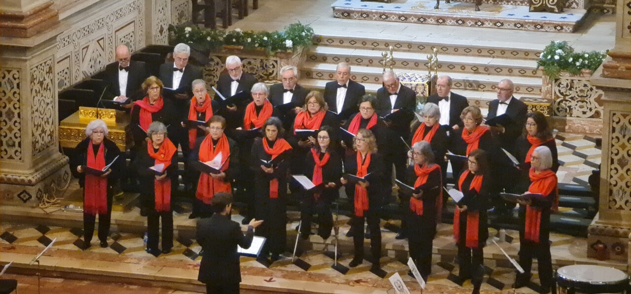 Coral 3 a melhor.jpg