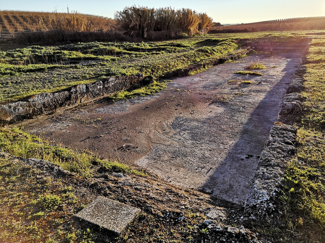 Ruínas - Villa Romana de Pisões (6).jpg Ruínas - Villa Romana de Pisões (6).jpg