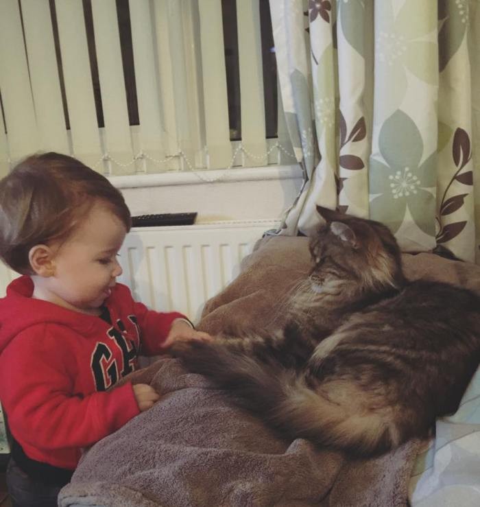 16174905_1499847403359197_4396861527900312323_n (1