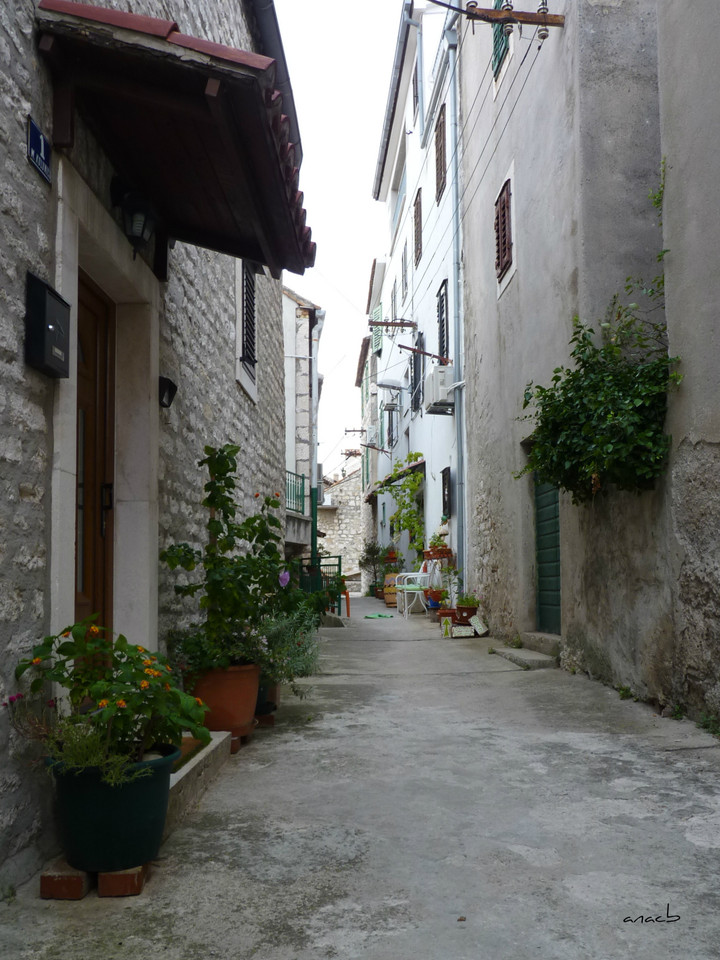 P1380886 cópia assin.jpg