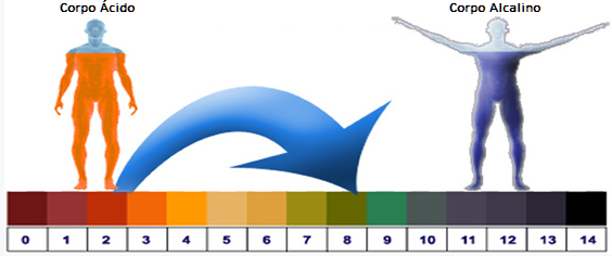 corpo-alcalino.png