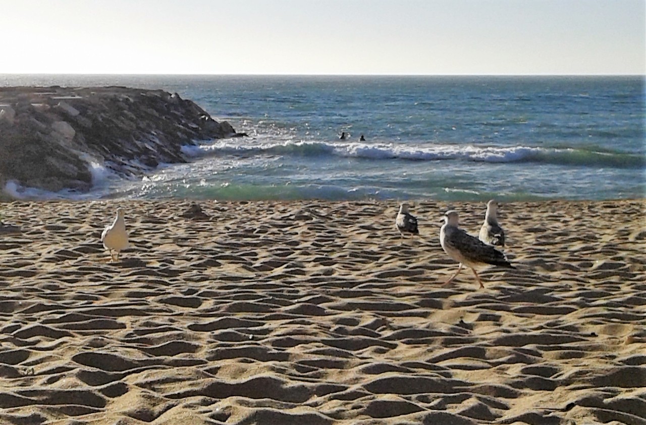 20160805_192456.jpg 20160805_192456.jpg