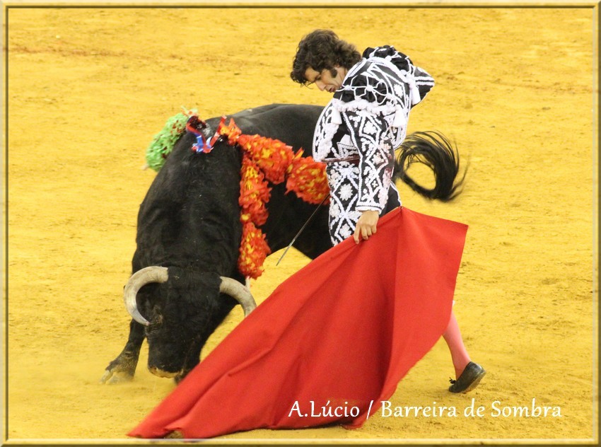 IMG_6720.JPG IMG_6720.JPG