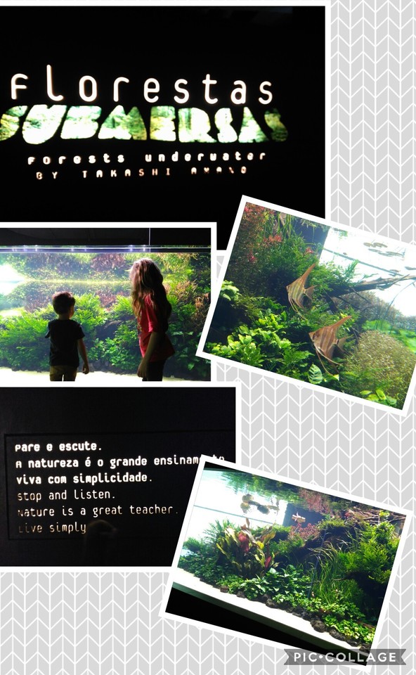 Collage 2017-08-31 22_58_16.jpg