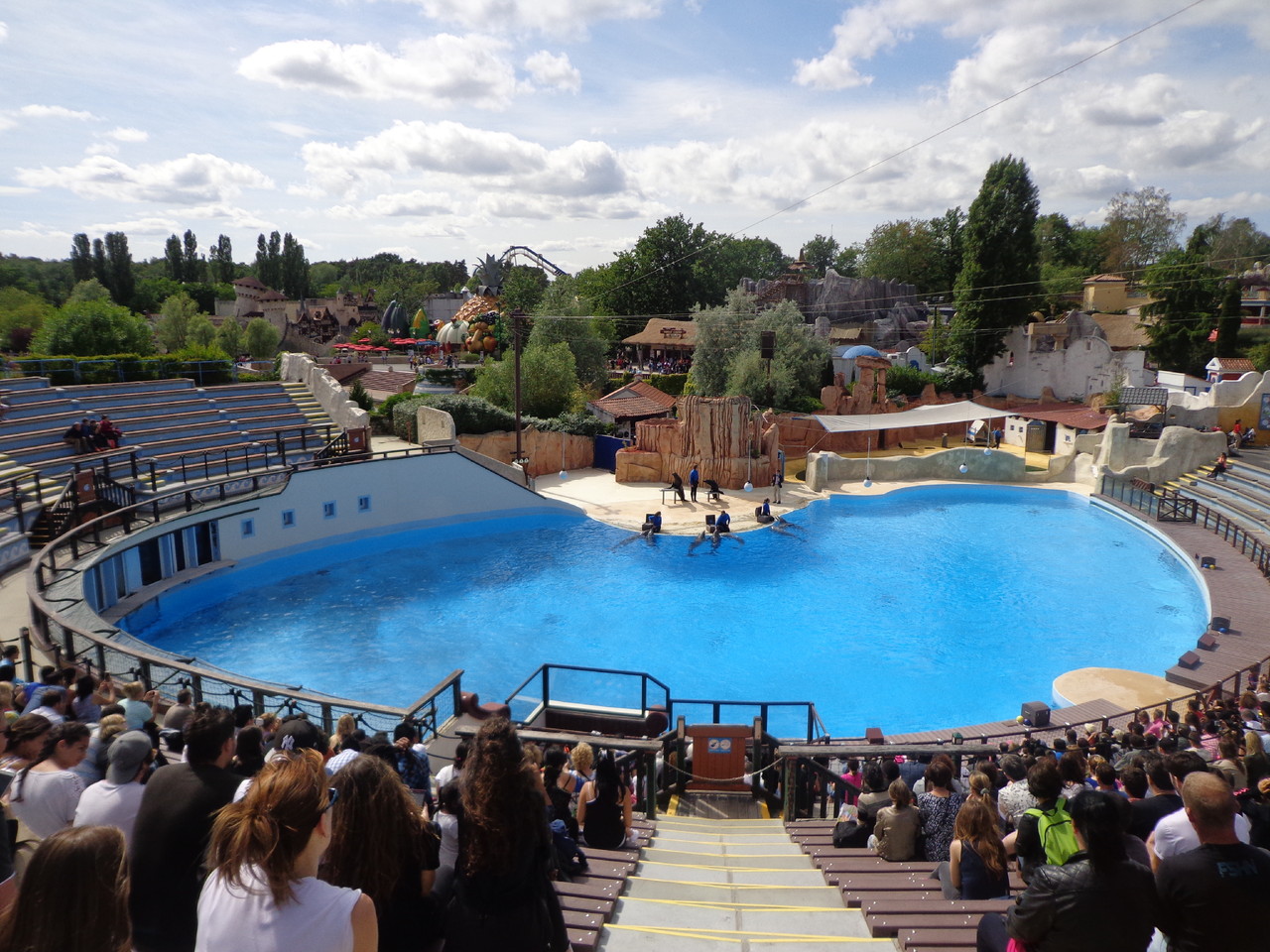 DSC04854.JPG DSC04854.JPG