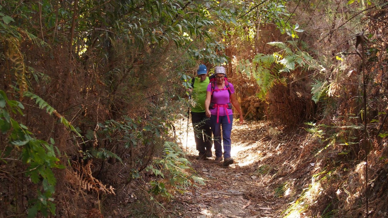 21586854_1799091693437582_3366427309839382376_o.jp