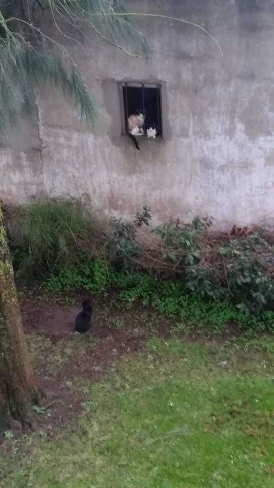 20190131_101059.jpg 20190131_101059.jpg