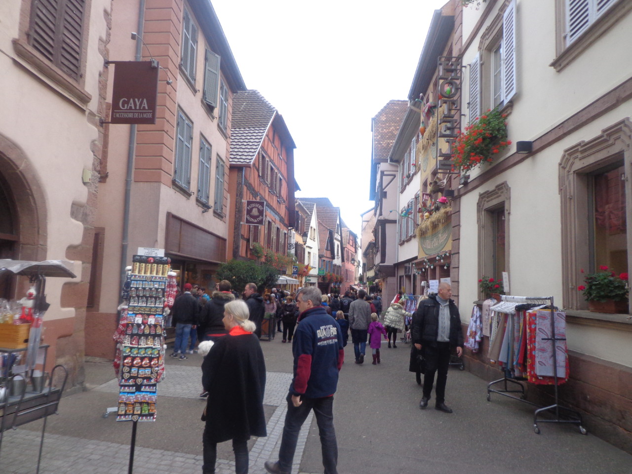 DSC06575.JPG DSC06575.JPG