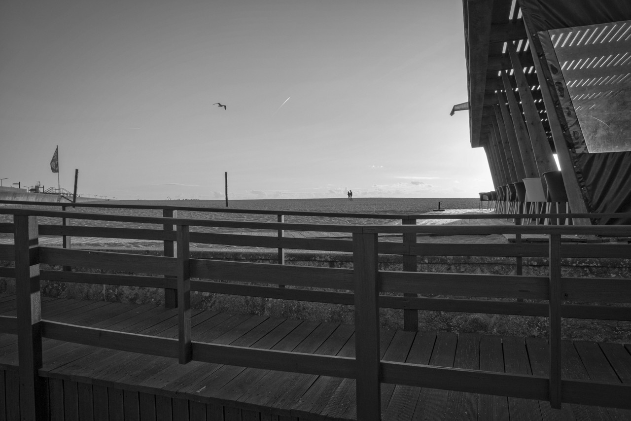 DSCF1443 - cópia copy.jpg