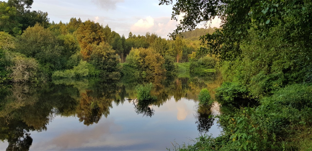 20190725_202510.jpg 20190725_202510.jpg