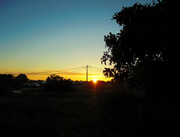 Sem Título107 (2).png