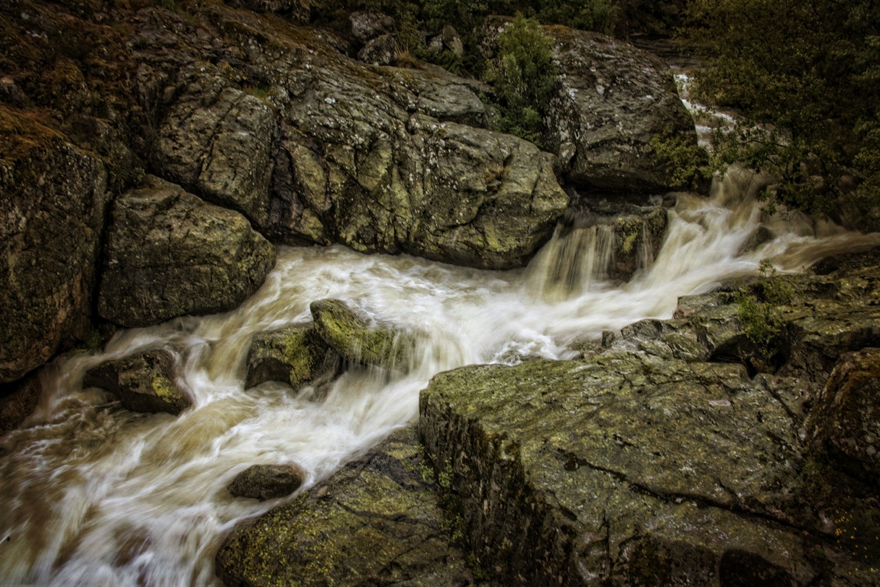 _JMF9334 - cópia.jpg