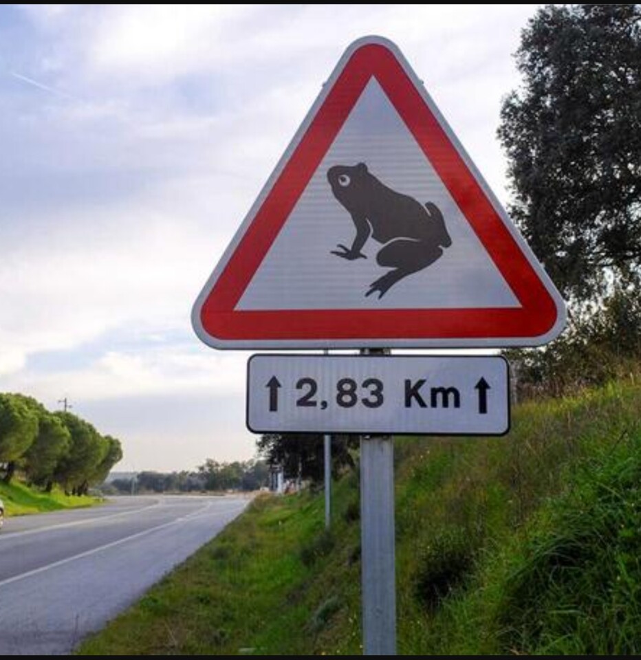 Screenshot_2023-04-25-18-48-24-581-edit_com.androi