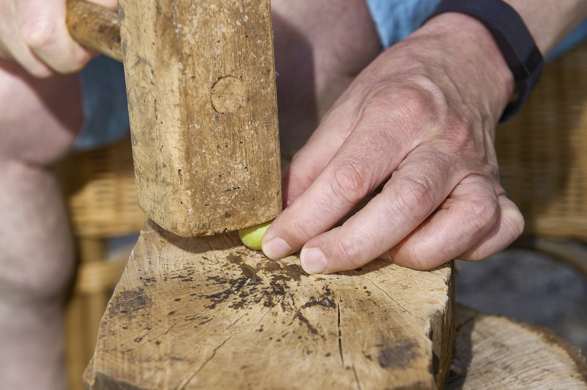 HRQM apanha azeitona_créditos Hélio Ramos 2.jpg