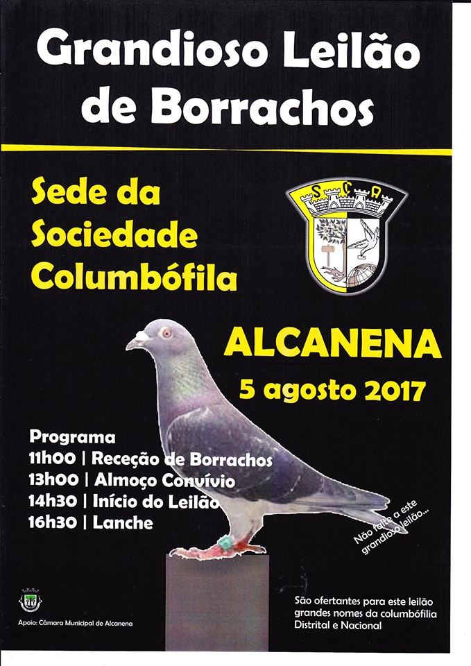 Leilão Alcanena.jpg