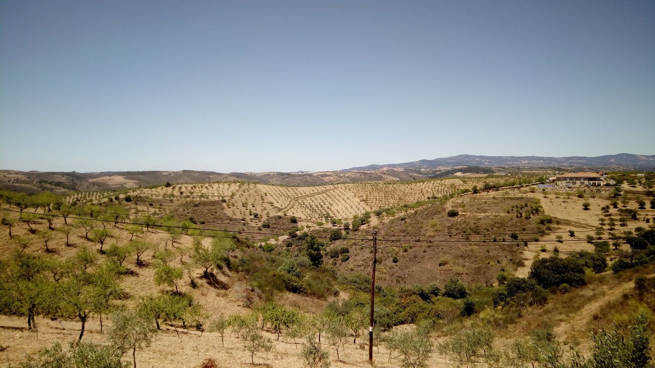 IMG_20170701_133847.jpg IMG_20170701_133847.jpg