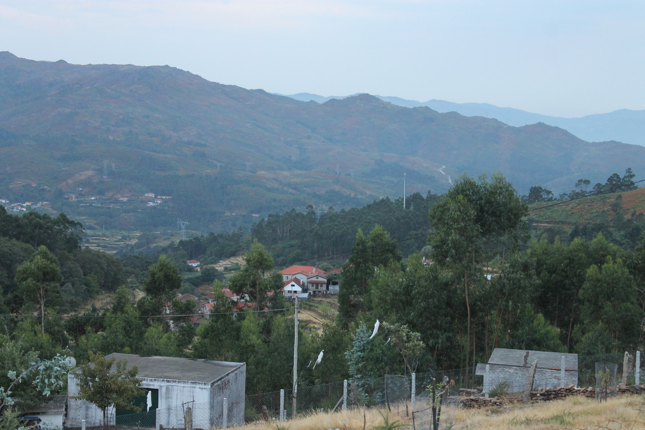 IMG_0864.JPG IMG_0864.JPG