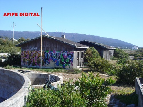 11418583_v6p4N.jpg 11418583_v6p4N.jpg