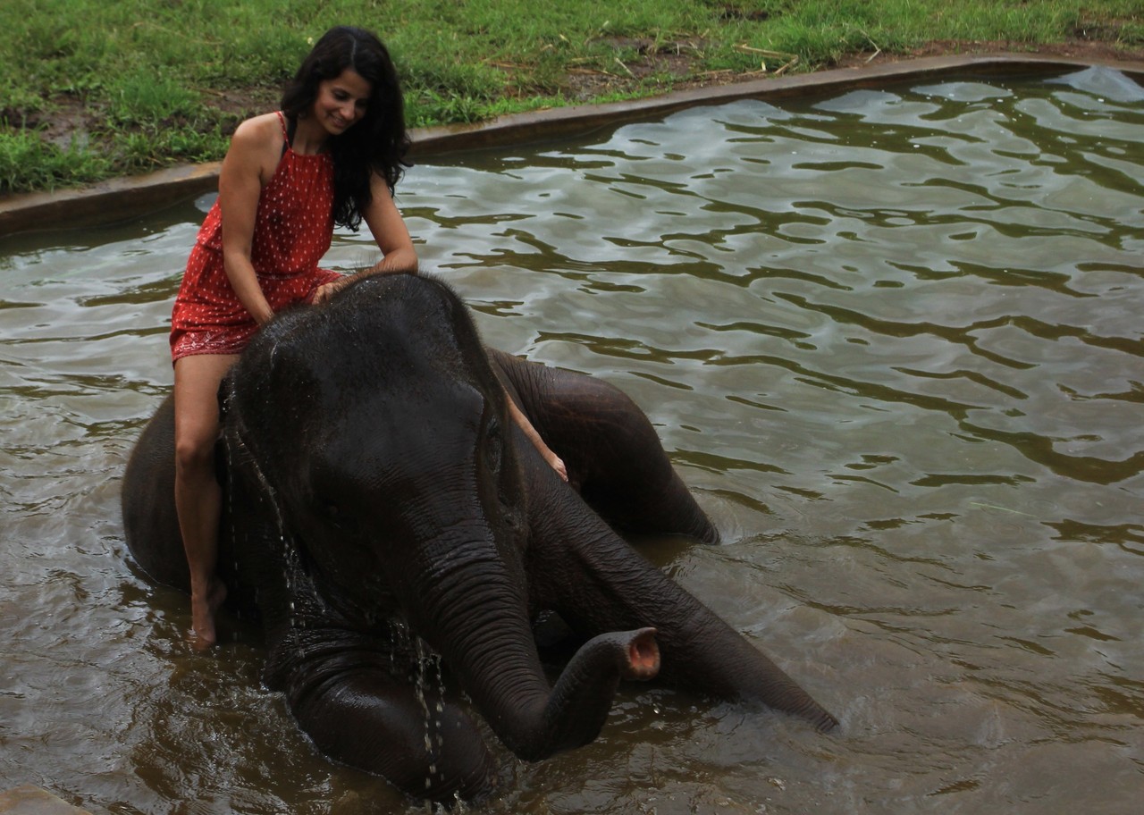 IMG_0231.jpg IMG_0231.jpg