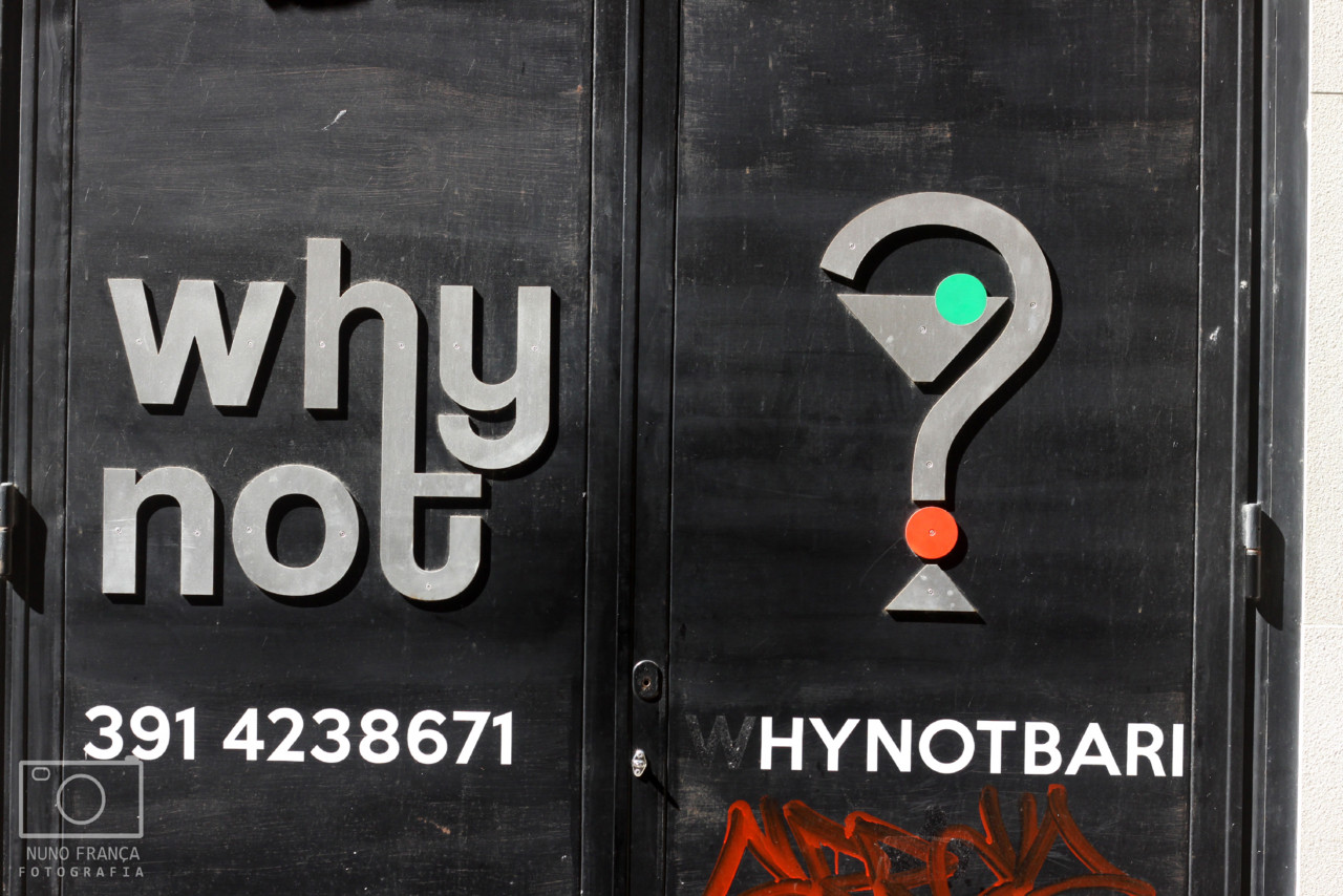 IMG_5745_net.jpg IMG_5745_net.jpg