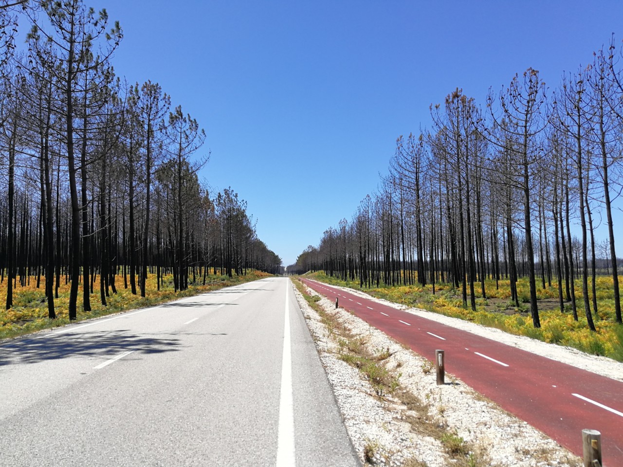 IMG_20180810_132430.jpg IMG_20180810_132430.jpg